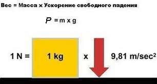 Чем отличается вес от массы (иллюстрация из открытых источников) 