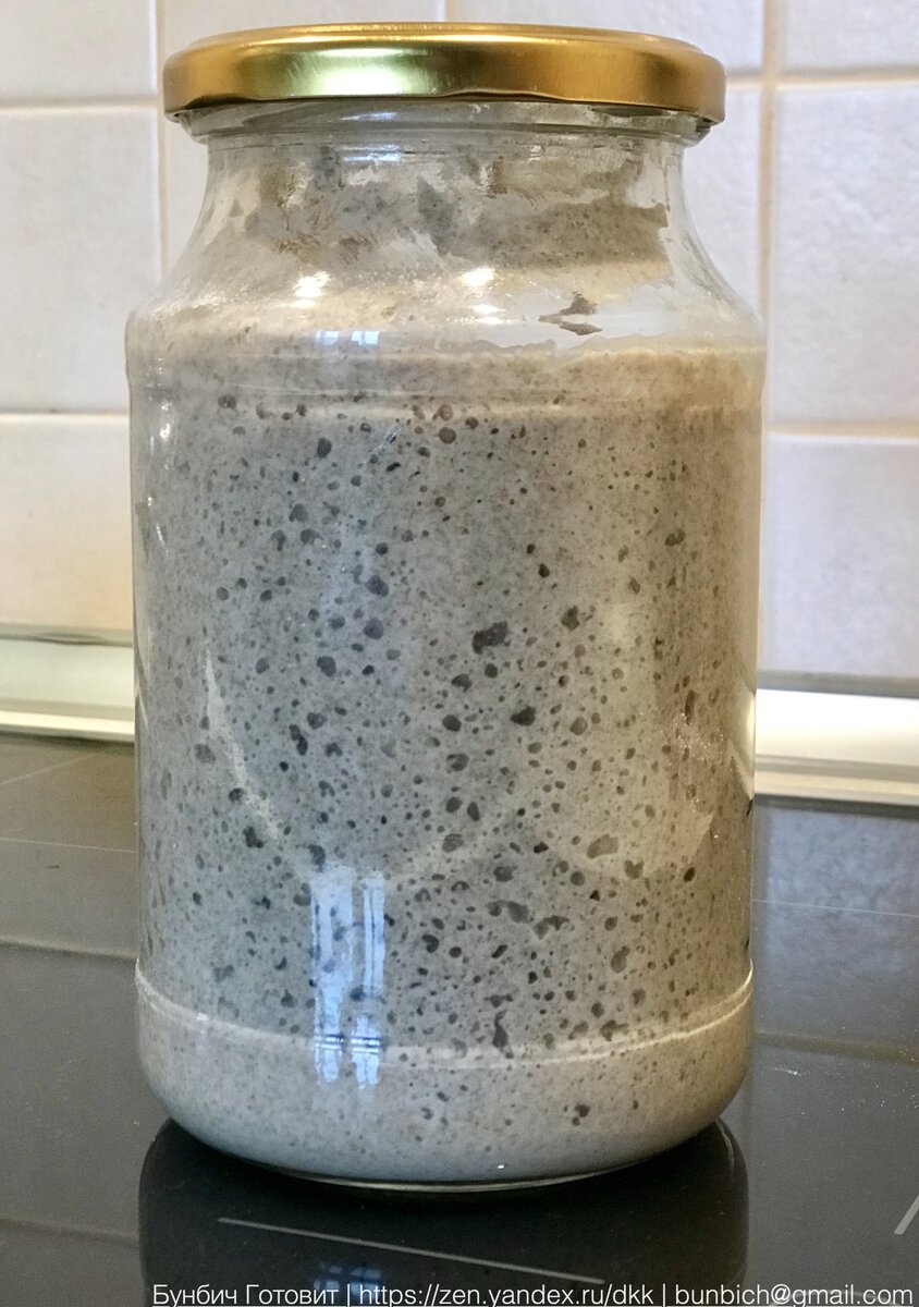 Баночка с закваской ржаной. Ржаная закваска. Закваска для хлеба по дням. Как вырастить закваску для хлеба. Плесень на закваске для хлеба.