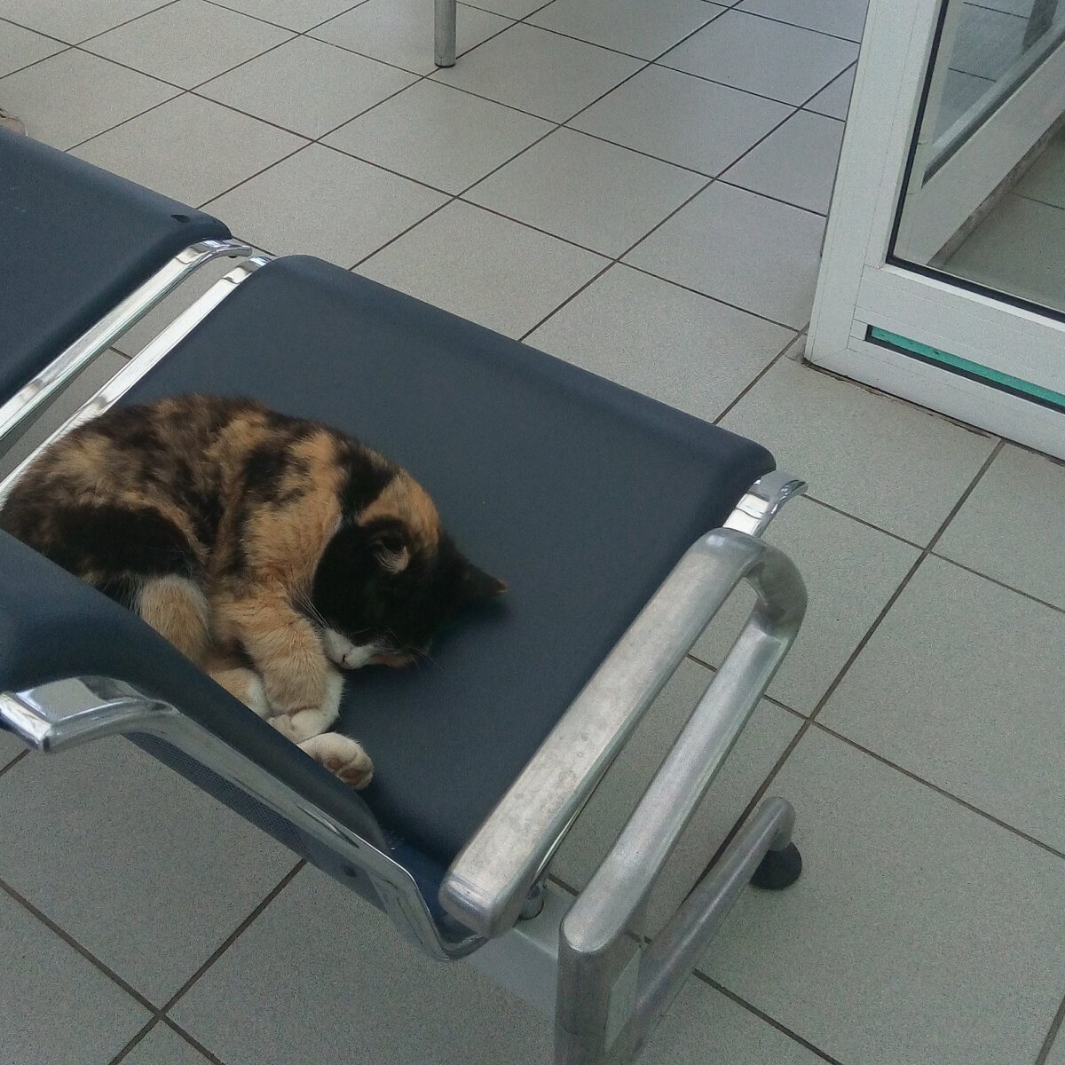 вокзал г. Волхов 2016-08-13