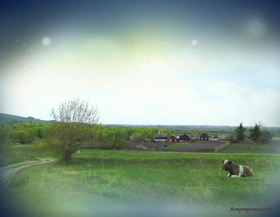 Коллаж Нины Стрелковой.