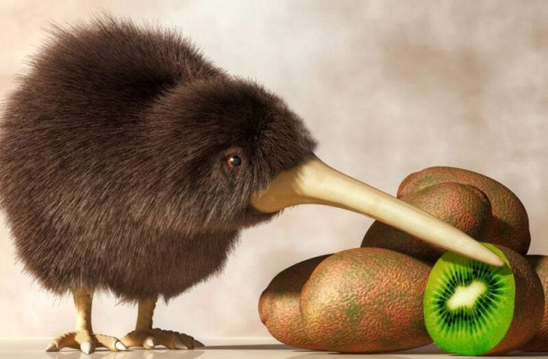 Птица киви и фрукт