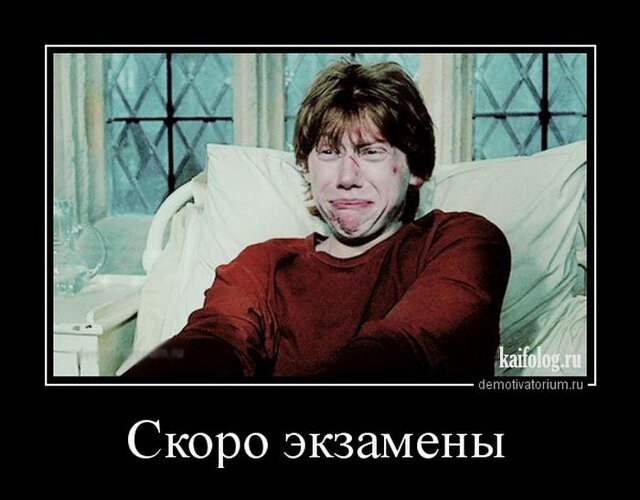 Скоро экзамены