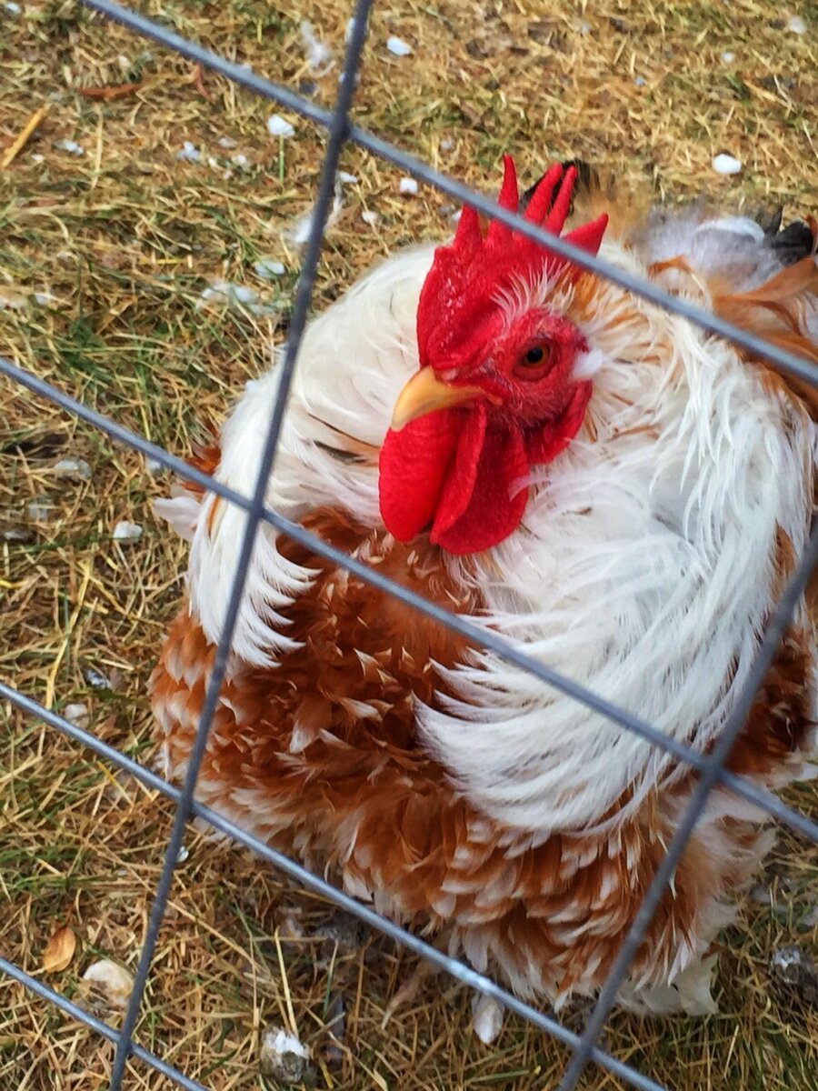 Серьезный слов нет