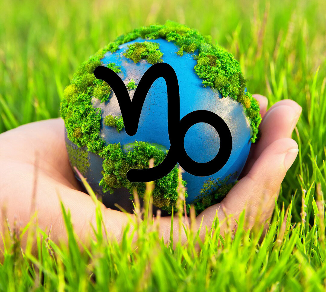 Знак зодиака Козерог.