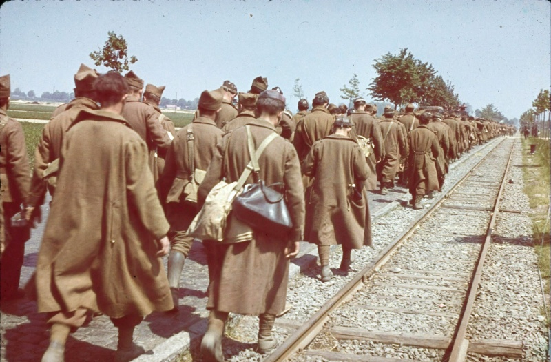 Бельгийские военнопленные, захваченные немецкими войсками во время вторжения в Бельгию
