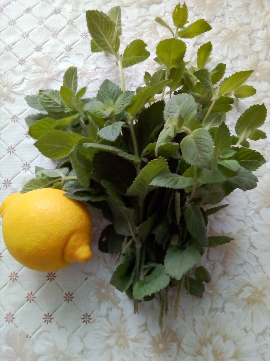 Фото сделано автором статьи