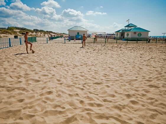  Картинка из свободного доступа в сети интернет 