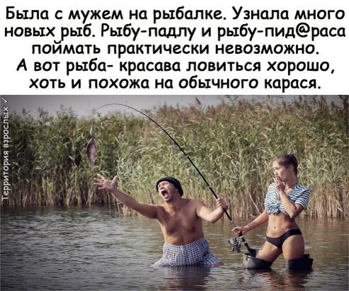  Территория взрослых 