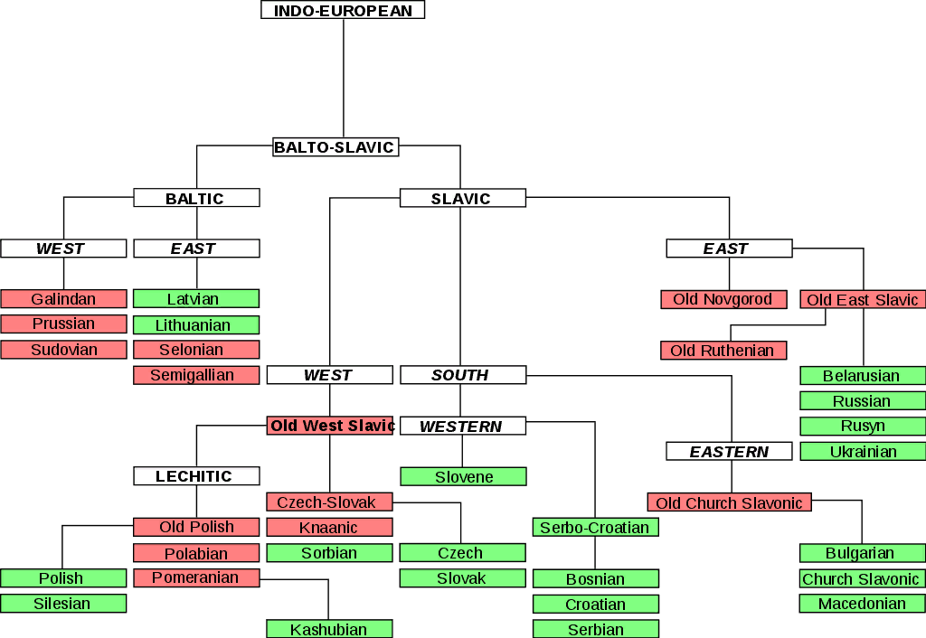 Балто-славянская ветвь