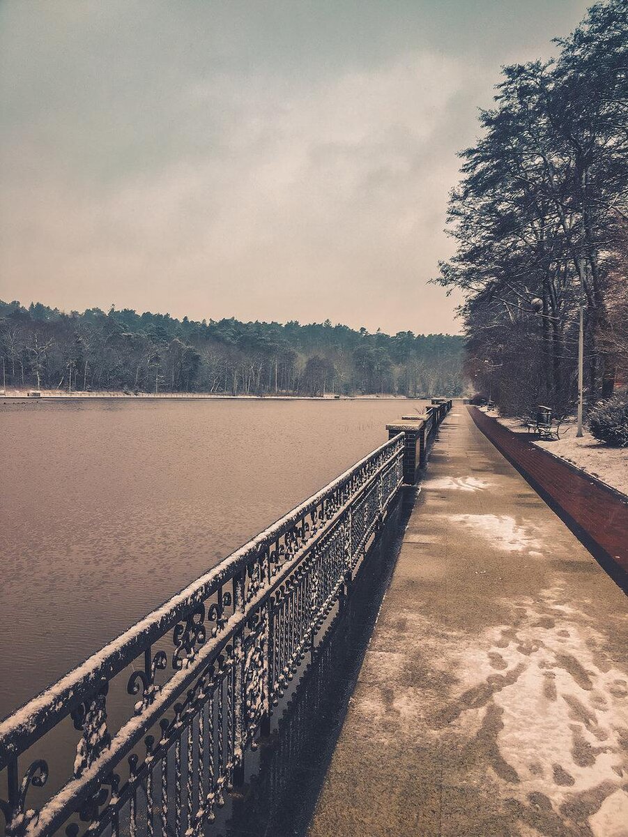 Светлогорск