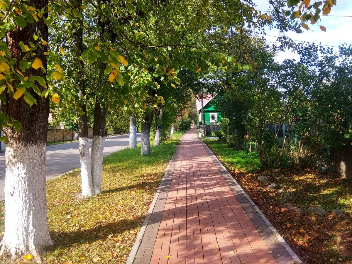 Обычная улочка в моем городе, много зелени и мало машин.