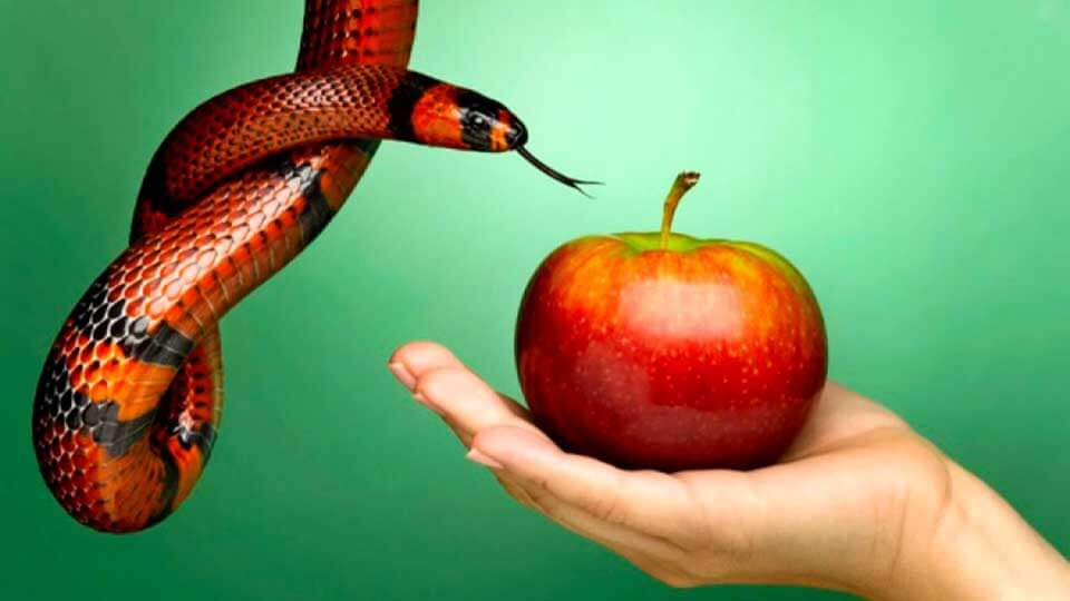 Правильно ли вы понимаете слово "грех"?