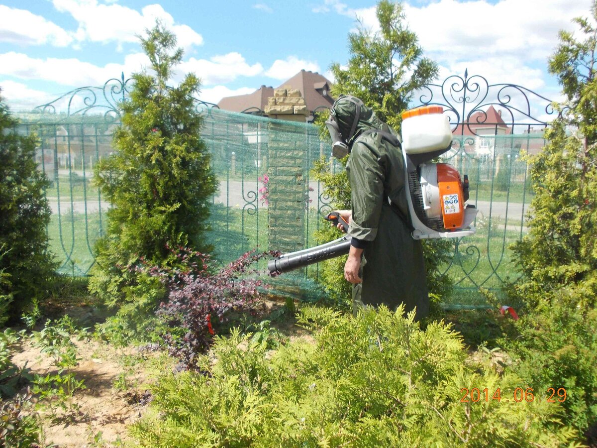 Фото автора