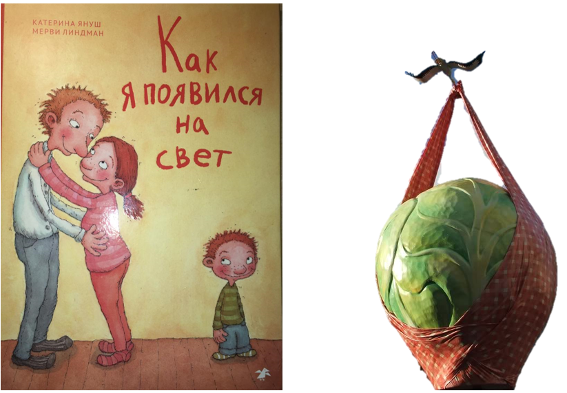 Вот такая книжка, и она совсем не про капусту. 