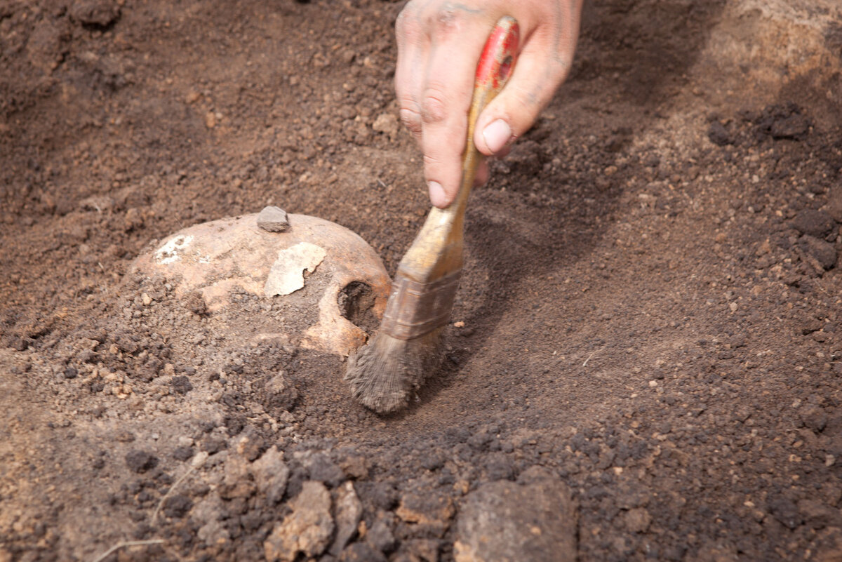 Грызловский могильник, Куликово поле, 2012 год