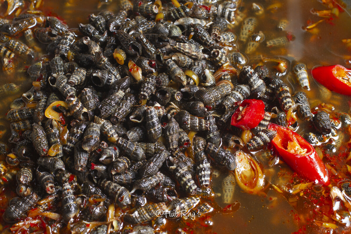Молюски в пряном рыбном соусе.