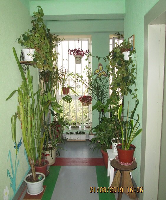 В  подъезде