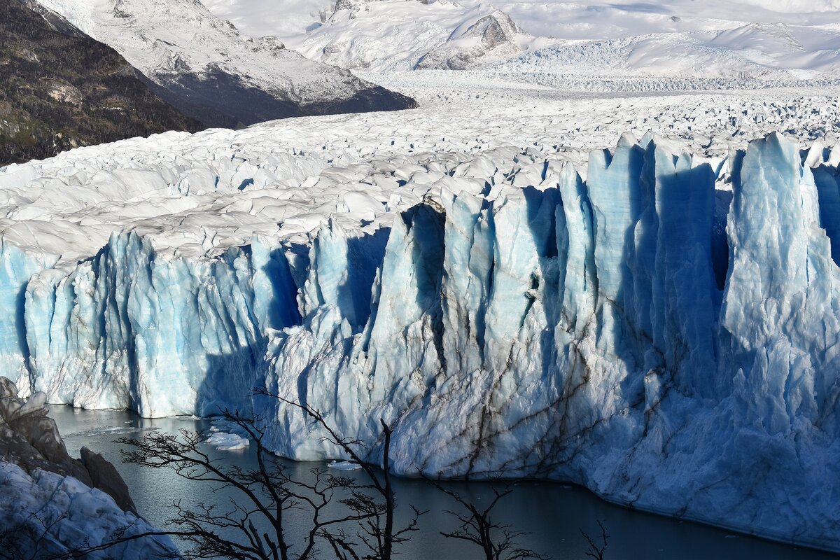 Фото - Carlos Barengo