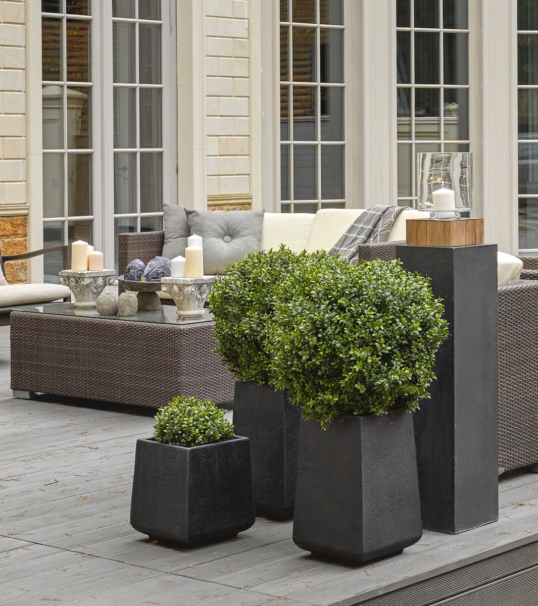 Искусственные самшиты марки Treez Collection в кашпо Treez Ergo.