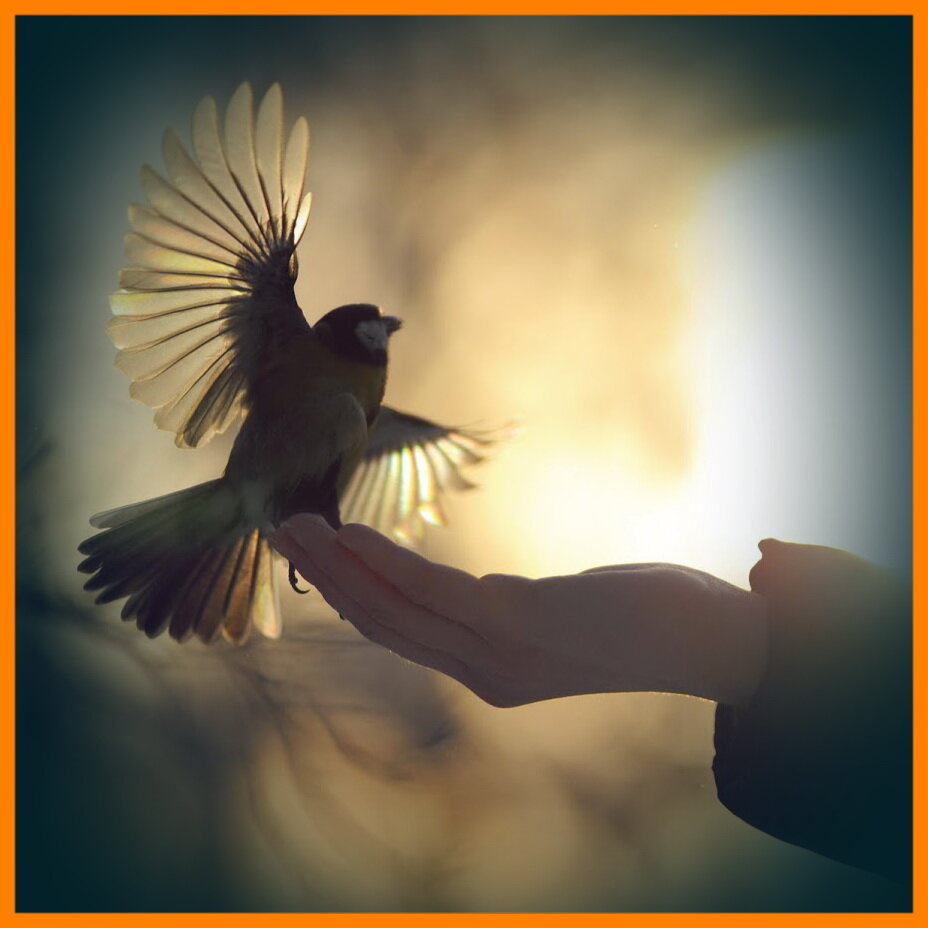 «Хранить верность — это достоинство, познать верность — это честь».