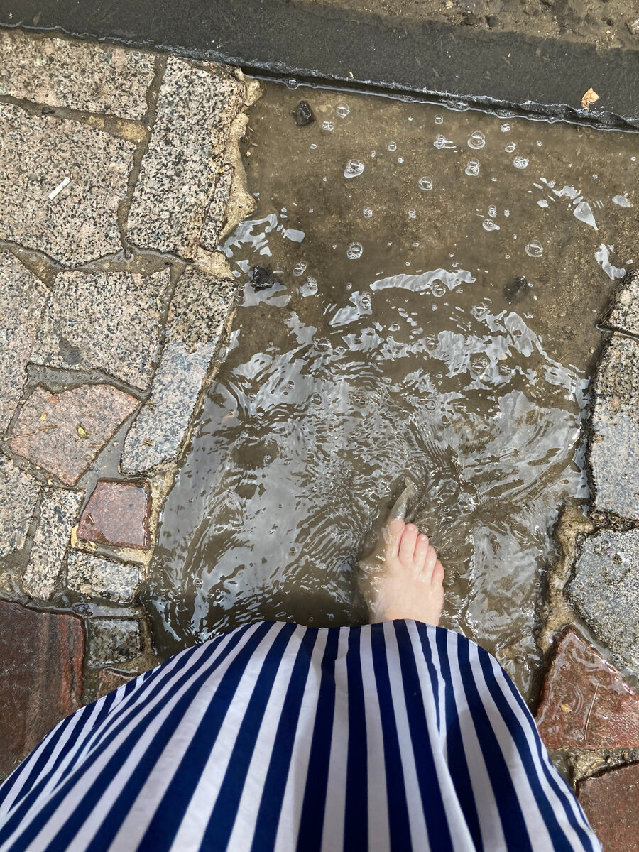 Я успела все-таки. Поймать окончание дождя. И немножко пузырей-одуванчиков.