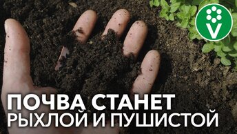 Стану почвой