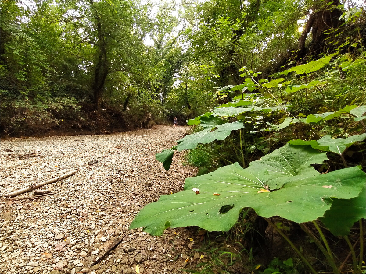 Река бельбек фото