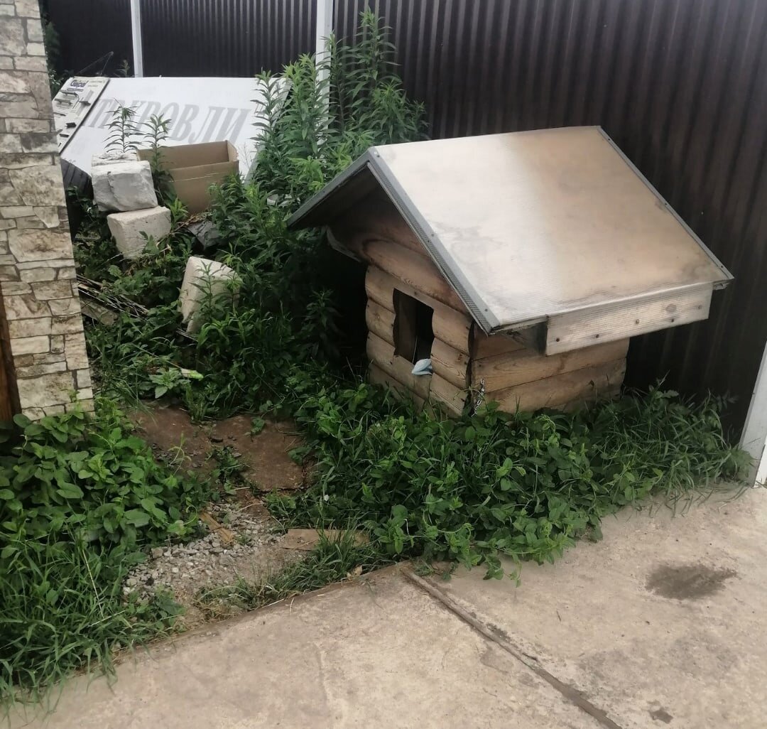 Построили Валету будку, он там жил. Но это опасное место, много машин