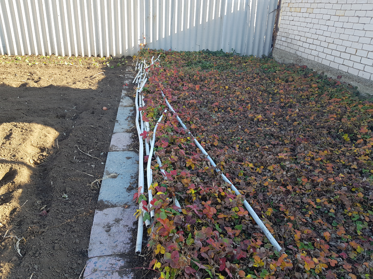 Фото автора. Летняя система полива разобрана