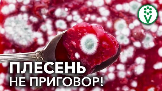 Испорченное варенье заслуживает второй шанс!