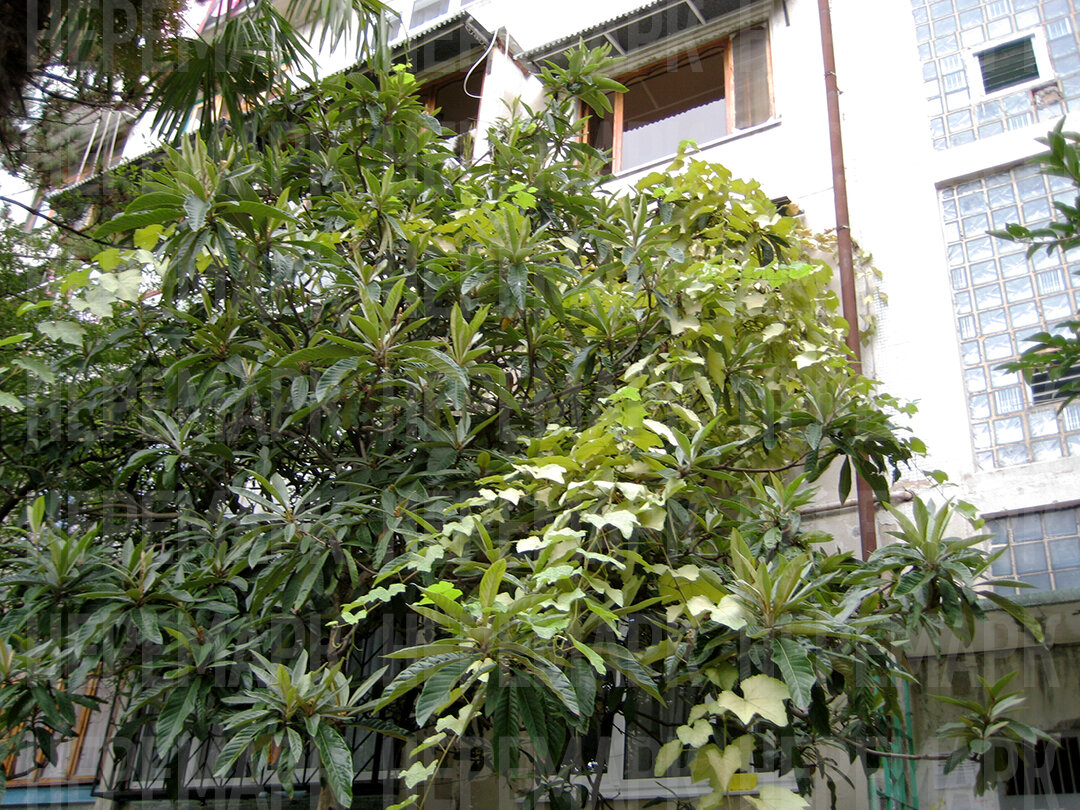 Фото НЕРЕМАРК