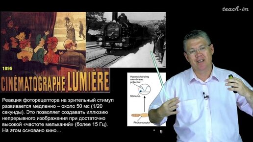 Дубынин В. А. - 100 часов школьной биологии - 1.20 Зрительная чувствительность