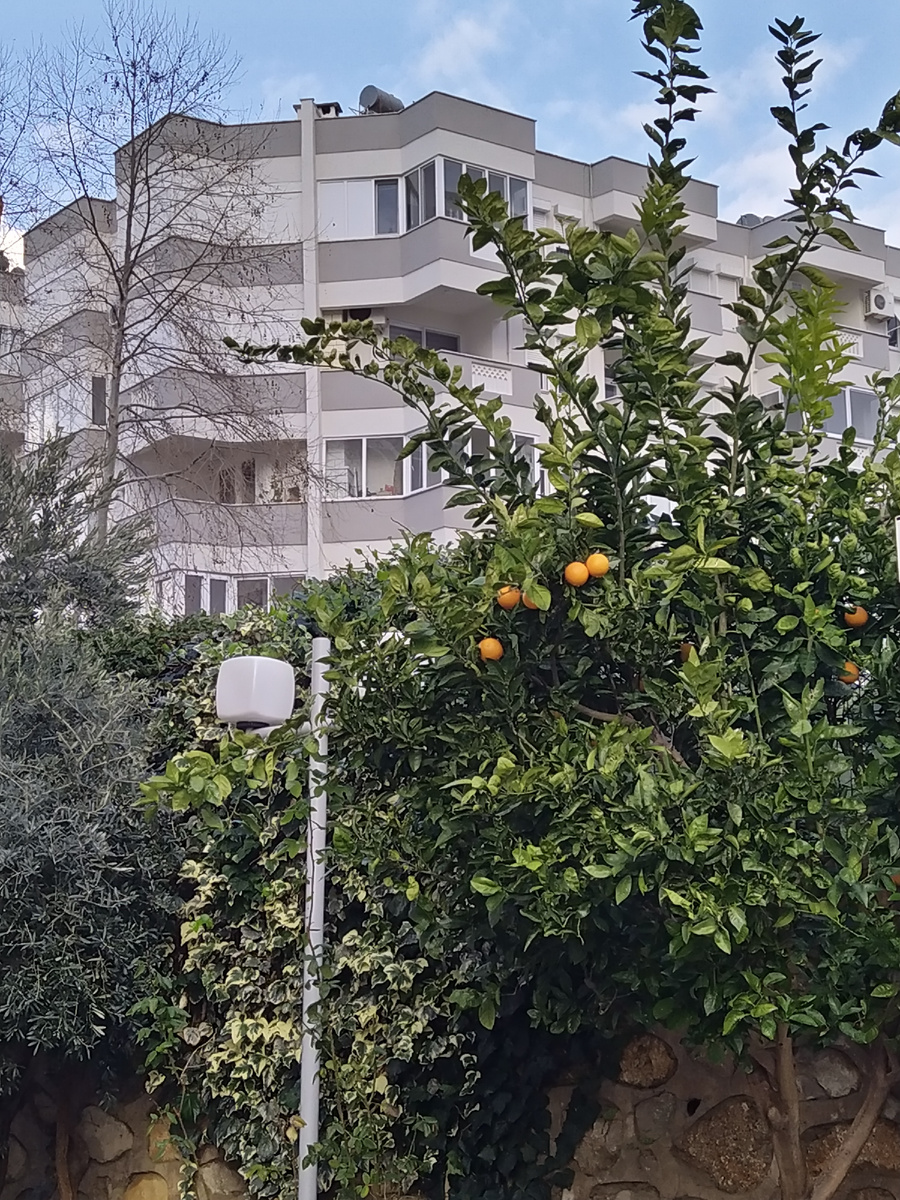 Листайте - пара турецких домов для примера. (Все фото мои)