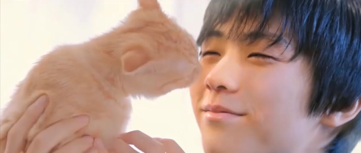 Фото для хорошего настроение из кавайного и няшного фанатского ролика