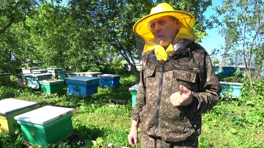 Пасека владимира рябухина. Владимир Борисов пчеловод. Пасека Шишкиных Владимир