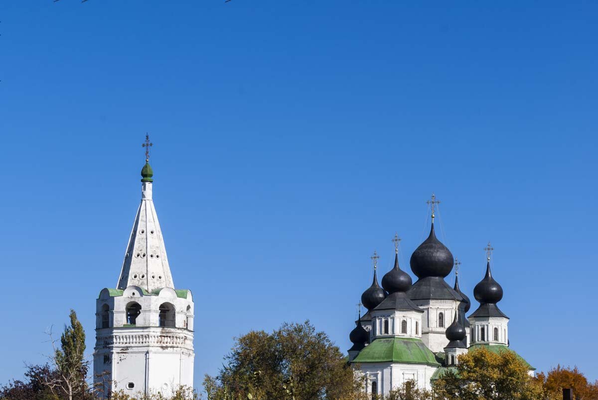 Виды станицы