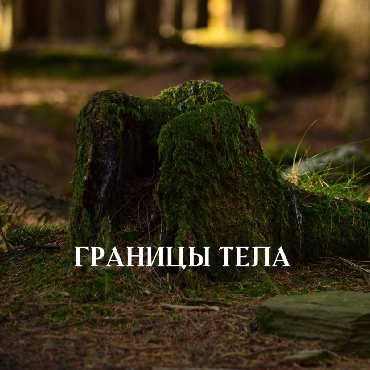 Поверхность геометрического тела. Диагностическая сетка «постуральный баланс». Граница тела это. Визуальная диагностика. Границы применимости моделей.