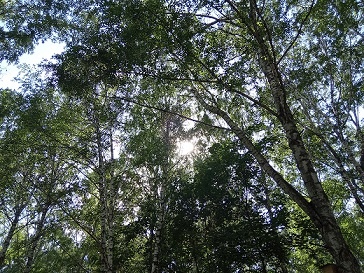 Фотография из личного архива автора