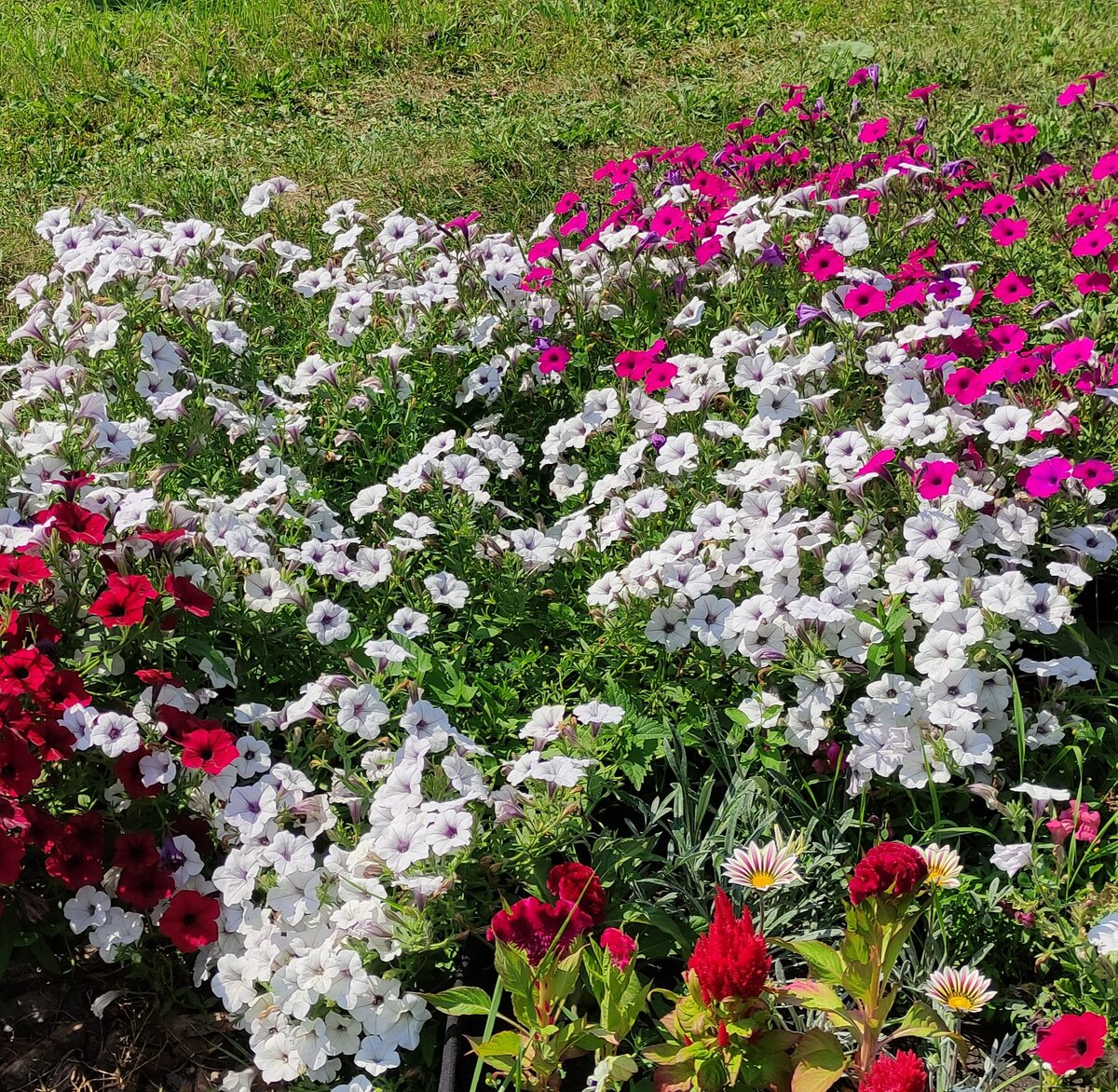 фото от 06 августа