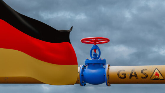    Минэкономики Германии: последствия газовой зависимости от РФ еще ощущаются Андрей Бурков