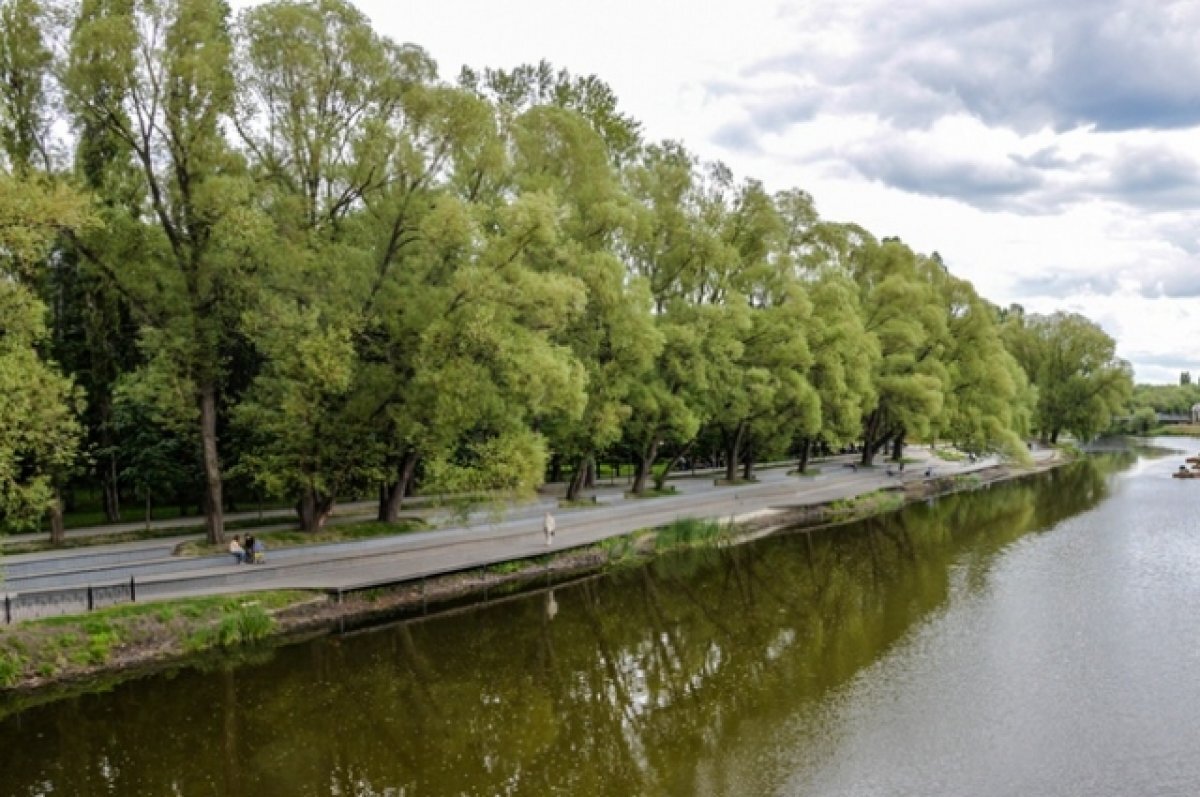    В Белгороде на набережной Везёлки пройдут открытые лекции