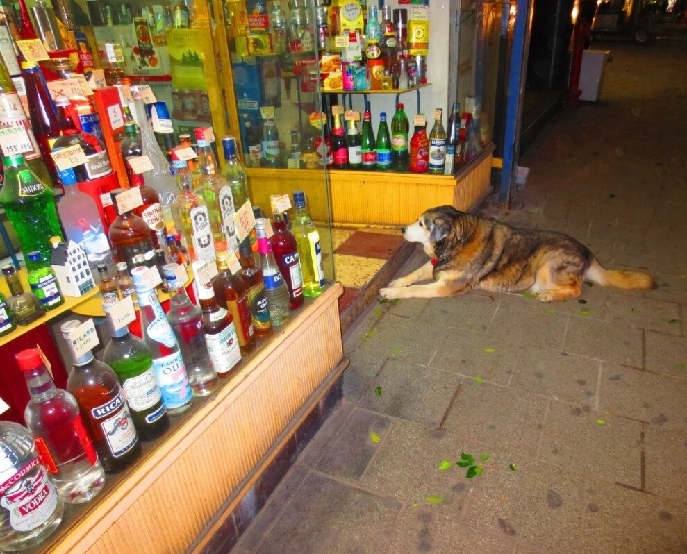 фото автора 