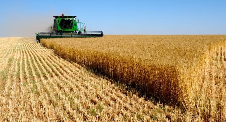    Средняя урожайность зерновых и зернобобовых культур в Северной Осетии в этом году выше прошлогодних показателей