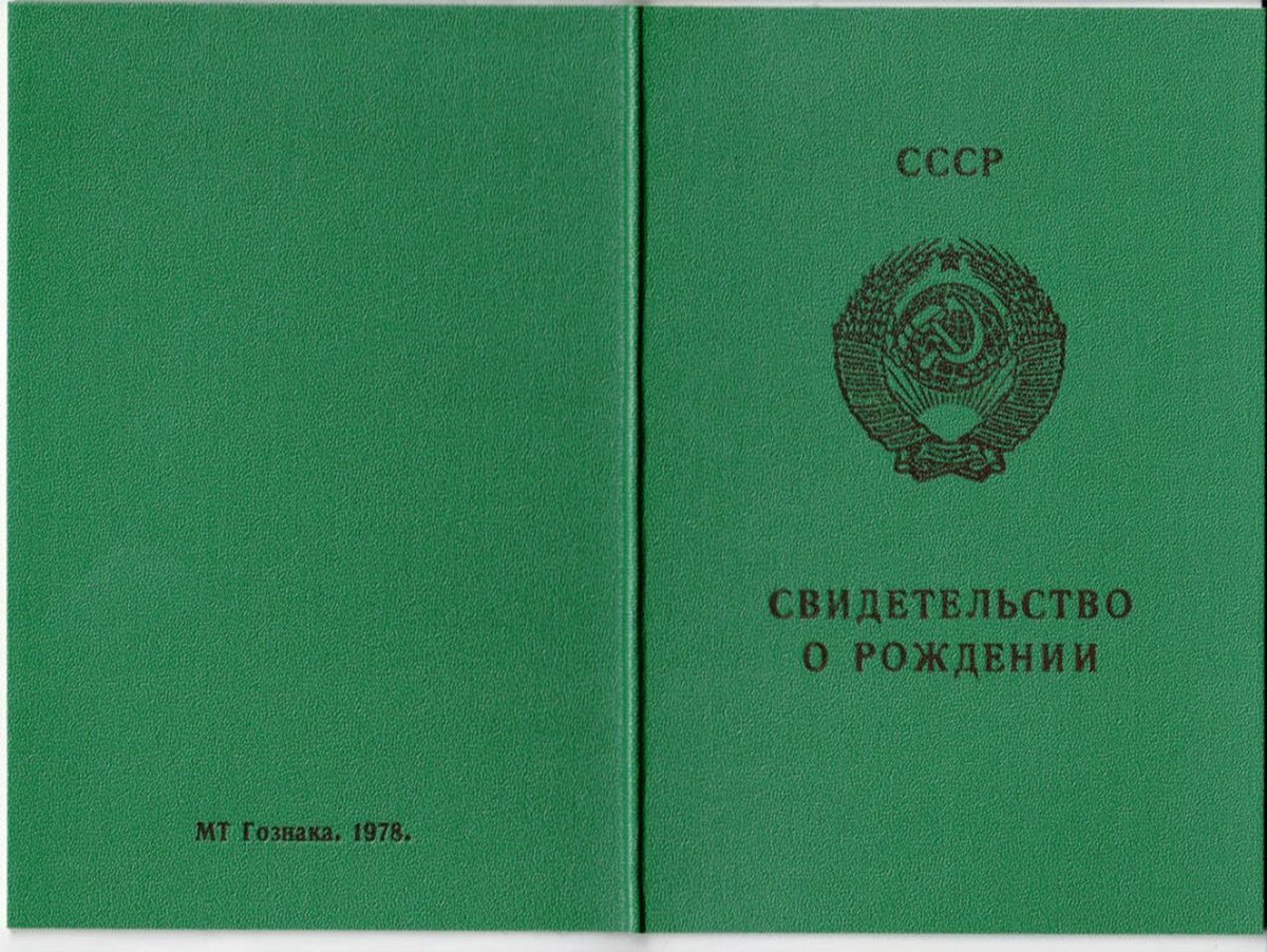 Нужны ли российские документы за границей? Что брать, а что оставить дома?  | Переезд в Италию, получение ВНЖ. Лариса Чернова | Дзен