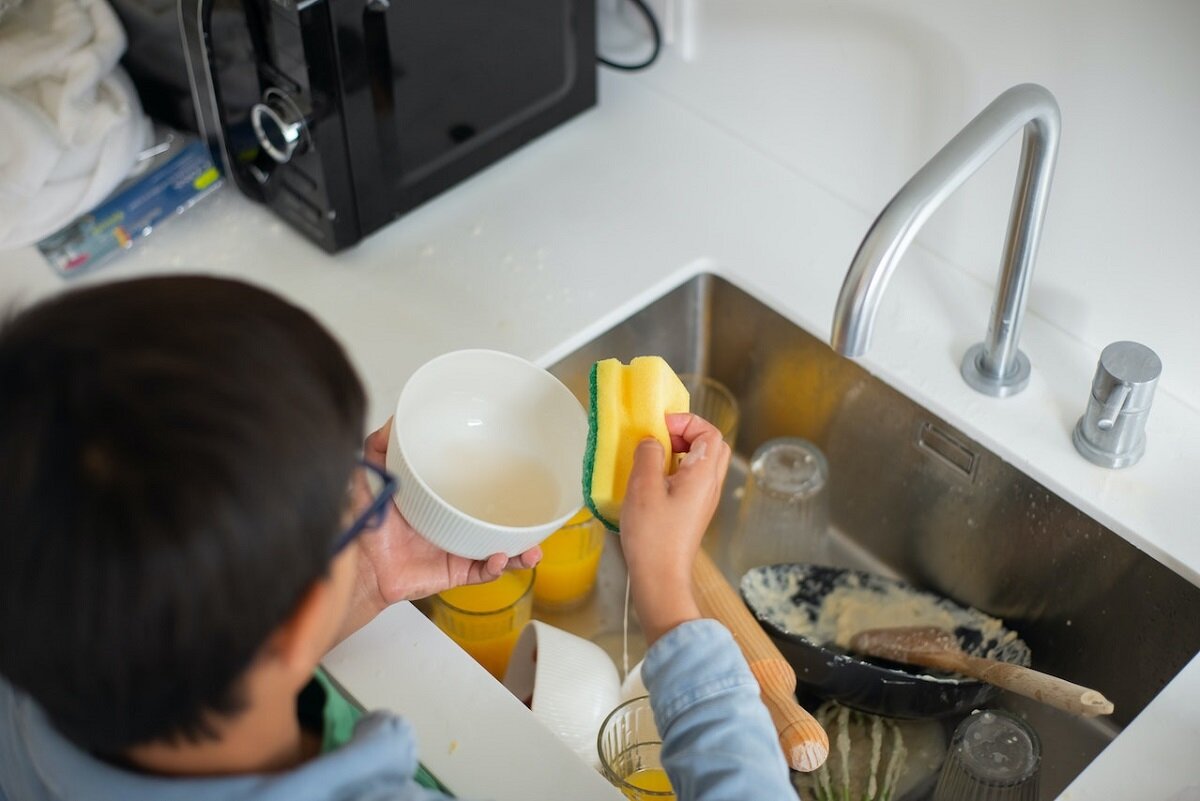 Бактерии на губке для мытья посуды