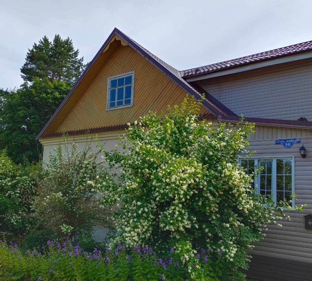 Утопающая в зелени, гора Левитана, 20