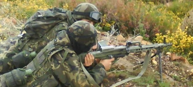 Внук Штурмгевера: пулемет СЕТМЕ Амели