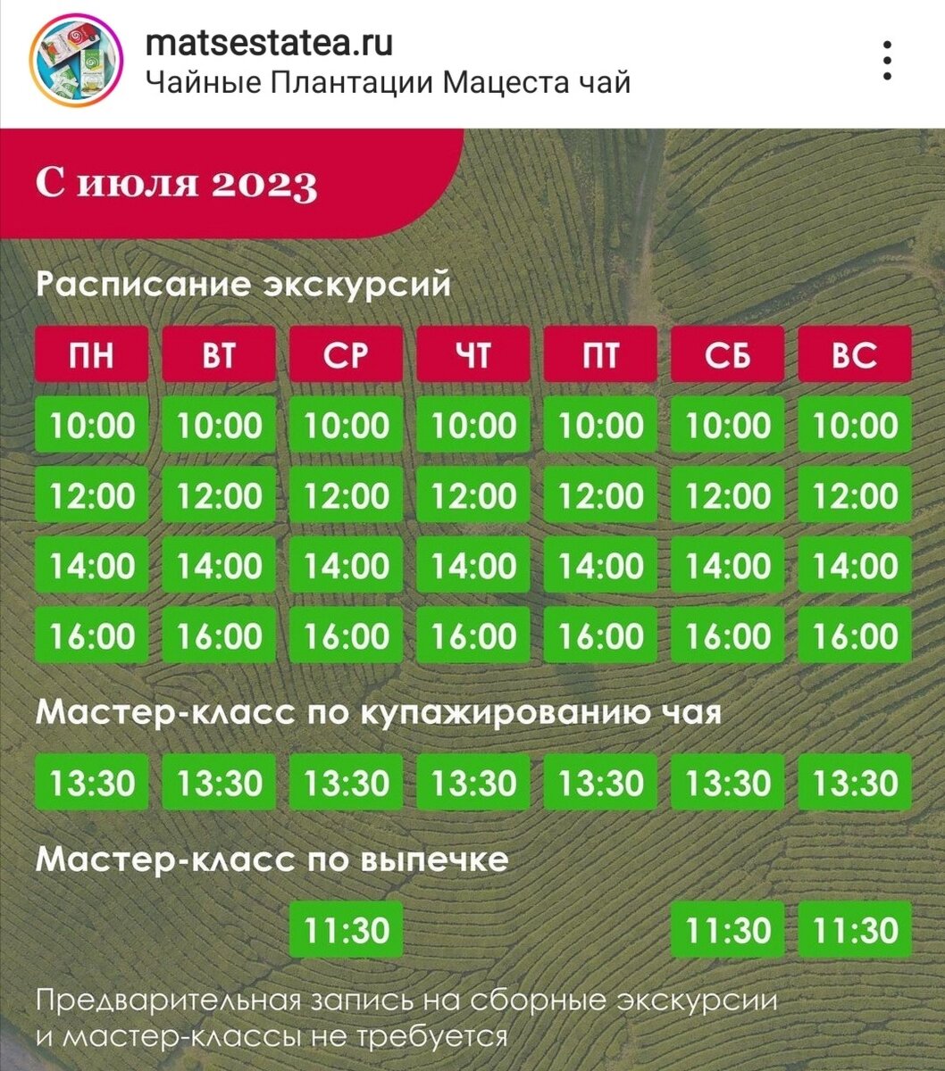 Расписание экскурсий на чайные плантации в Мацесте
