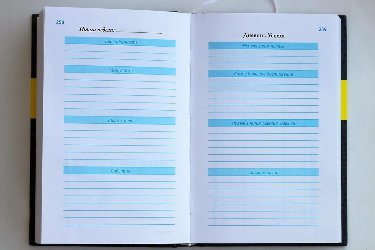 Дневник успеха 