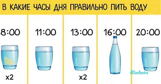 Так сколько же воды надо выпивать ежедневно? И зачем?